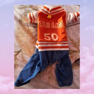 Orange and Blue Pet Outfit